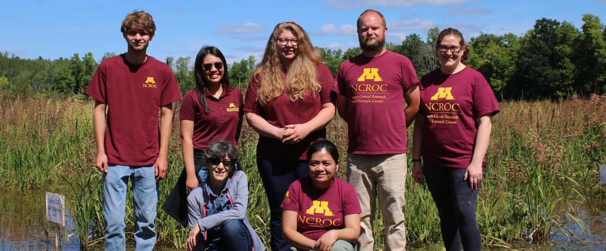 A photo of 7 wild rice program members all wearing university of Minnesota shirts with wild rice in the background.