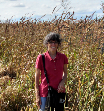Claudia standing in a paddy of wild rice.