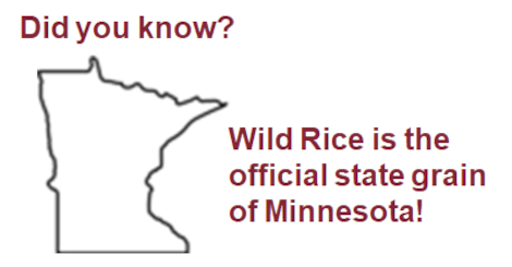 Wild rice is the official state grain of Minnesota