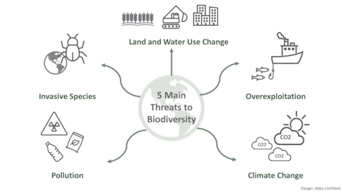 Figure of threats to biodiversity. Land and water use change, overexploitation, climate change, pollution, invasive species.