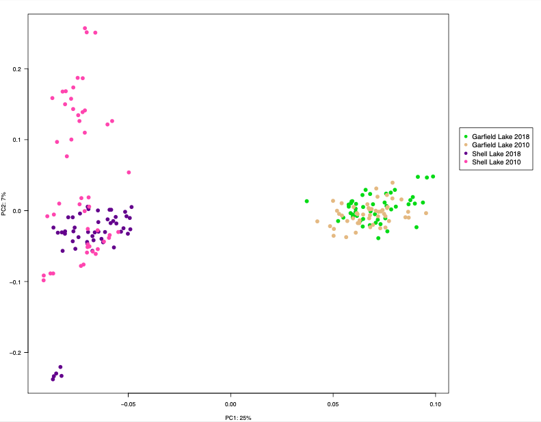 Second PCA plot with four lake populations.