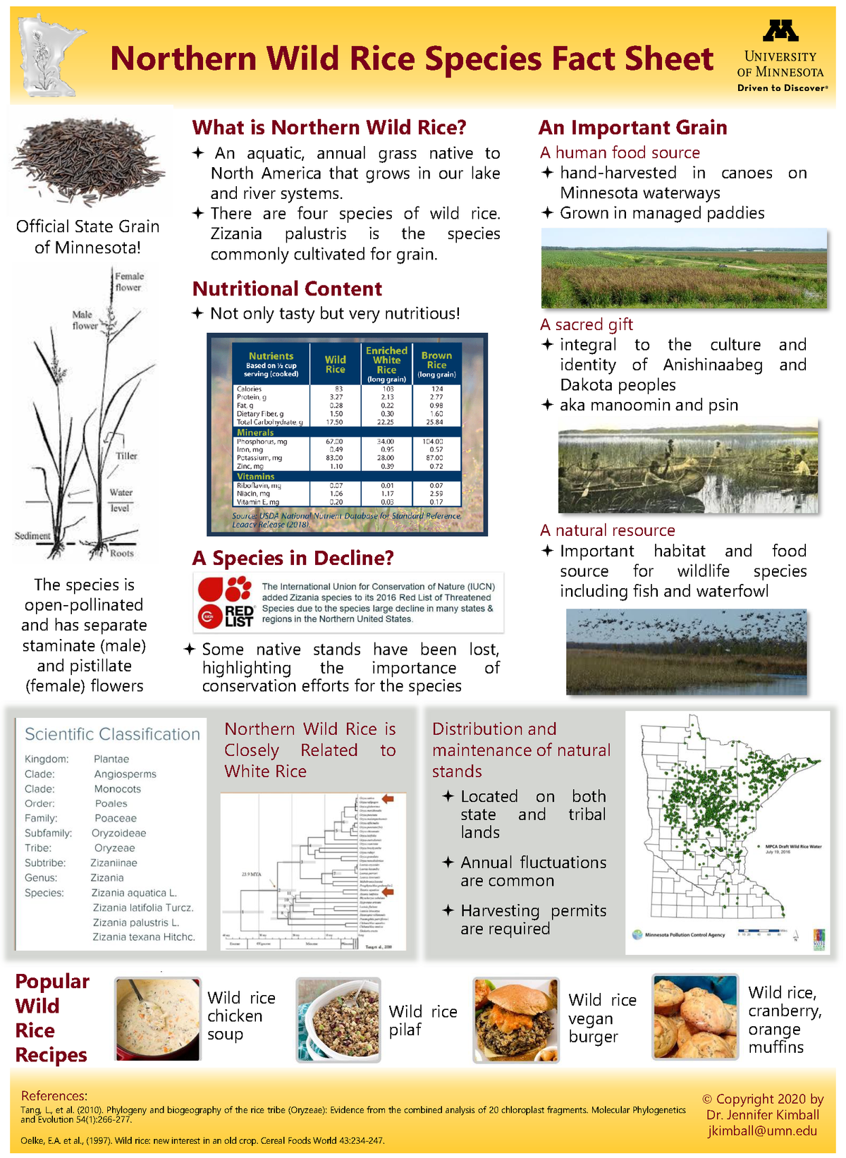 General information about wild rice including its taxonomic information and distribution 